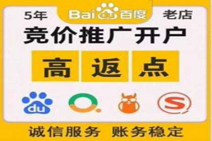 竞价推广实战：案例解析行业佼佼者的秘诀